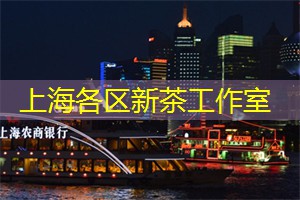 上海天马微电子：创新引领未来