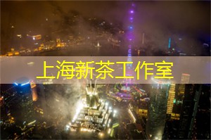 基于领克SPA Evo架构打造 领克900首发亮相