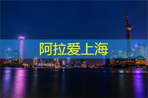 亲身体验：走进上海茶庄的第一步